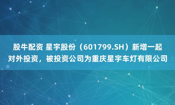 股牛配资 星宇股份（601799.SH）新增一起对外投资，被投资公司为重庆星宇车灯有限公司