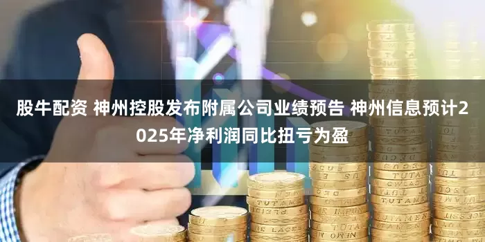 股牛配资 神州控股发布附属公司业绩预告 神州信息预计2025年净利润同比扭亏为盈
